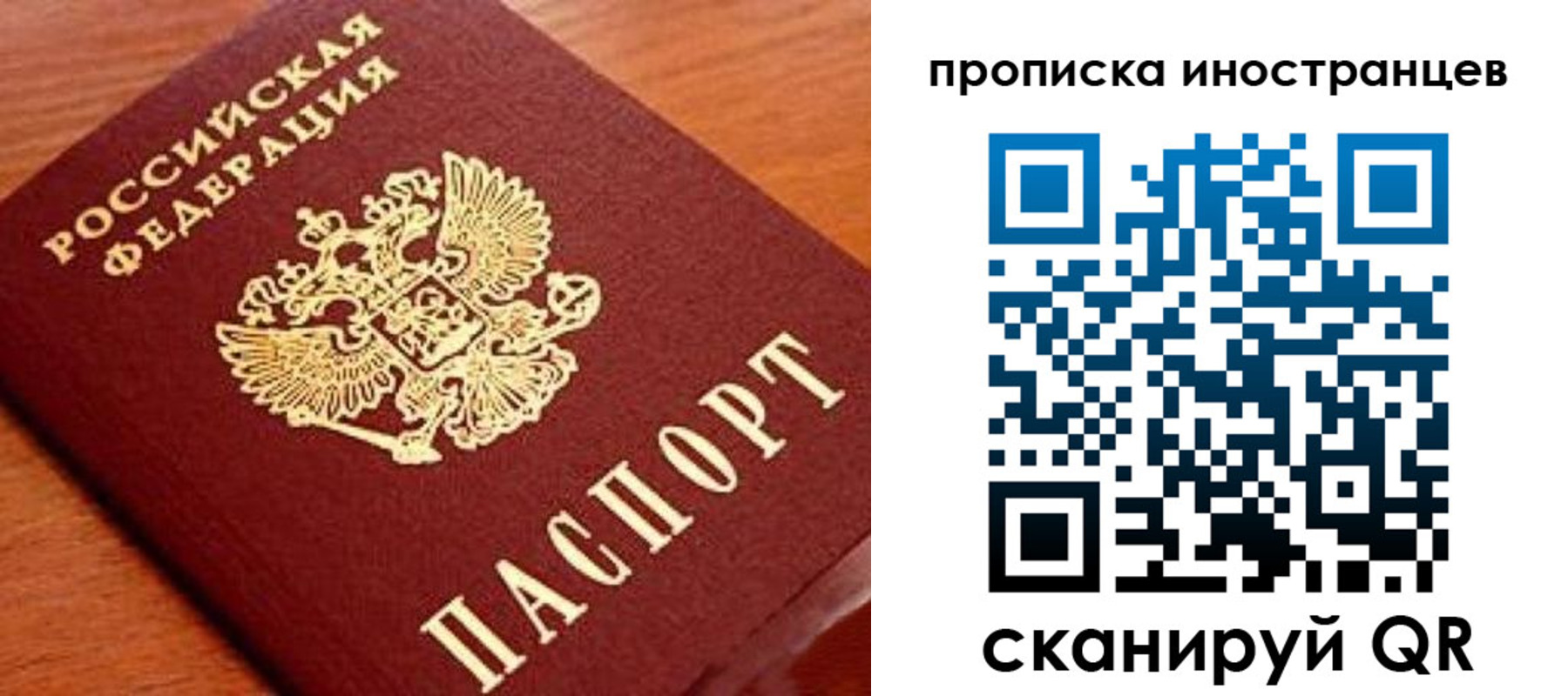 прописка законно в Шумихе